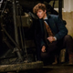 Eddie Redmayne protagoniza Fantastic Beasts and Where to Find Them. Todas las imágenes: Warner Bros.